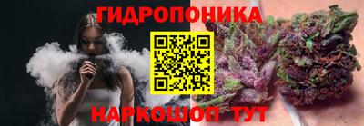 mdpv Кандалакша