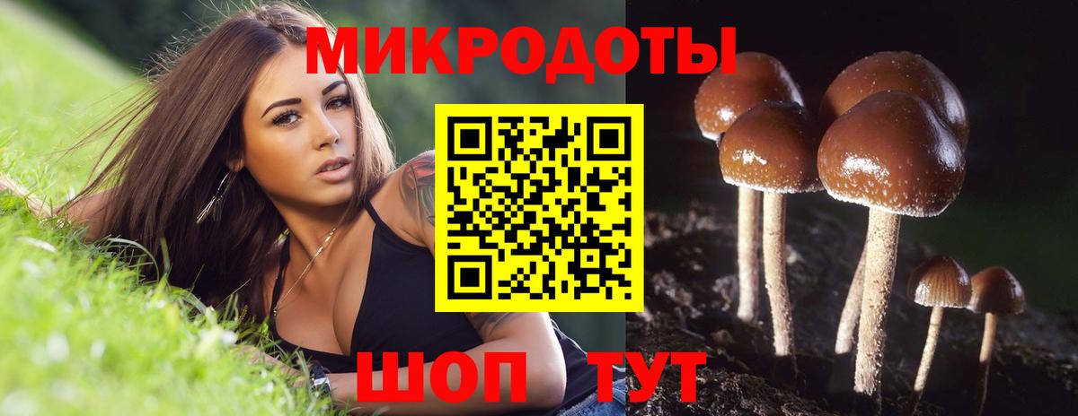 Красный Сулин  Галлюциногенные грибы Cubensis  Галлюциногенные грибы прущие грибы  Вход с VPN 